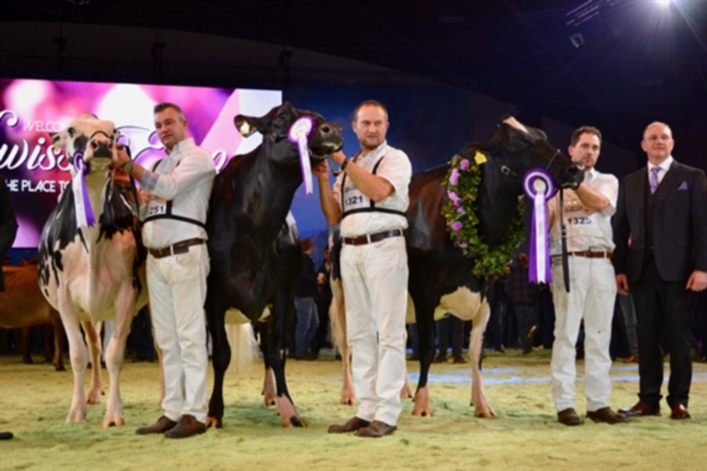 Grand-Champion-Wahl bei den Holsteindamen (von rechts): Ghardaia (später auch Supreme Champion), Heline und Jolie. (Bild jba) 