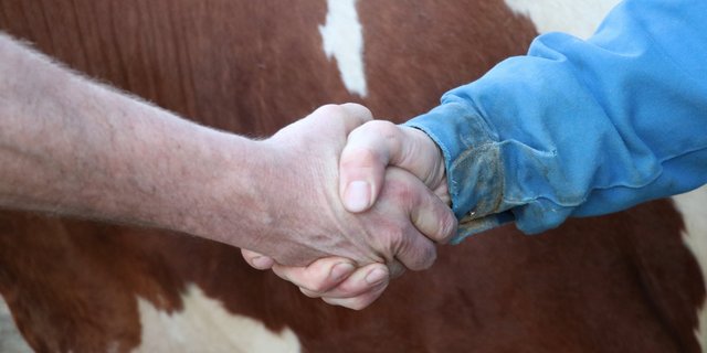 Wirtschaften ist Vertrauenssache. Die BauernZeitung hat nachgefragt, wem die Bauern ihr Vertrauen schenken.. (Bild BauernZeitung/Archiv)
