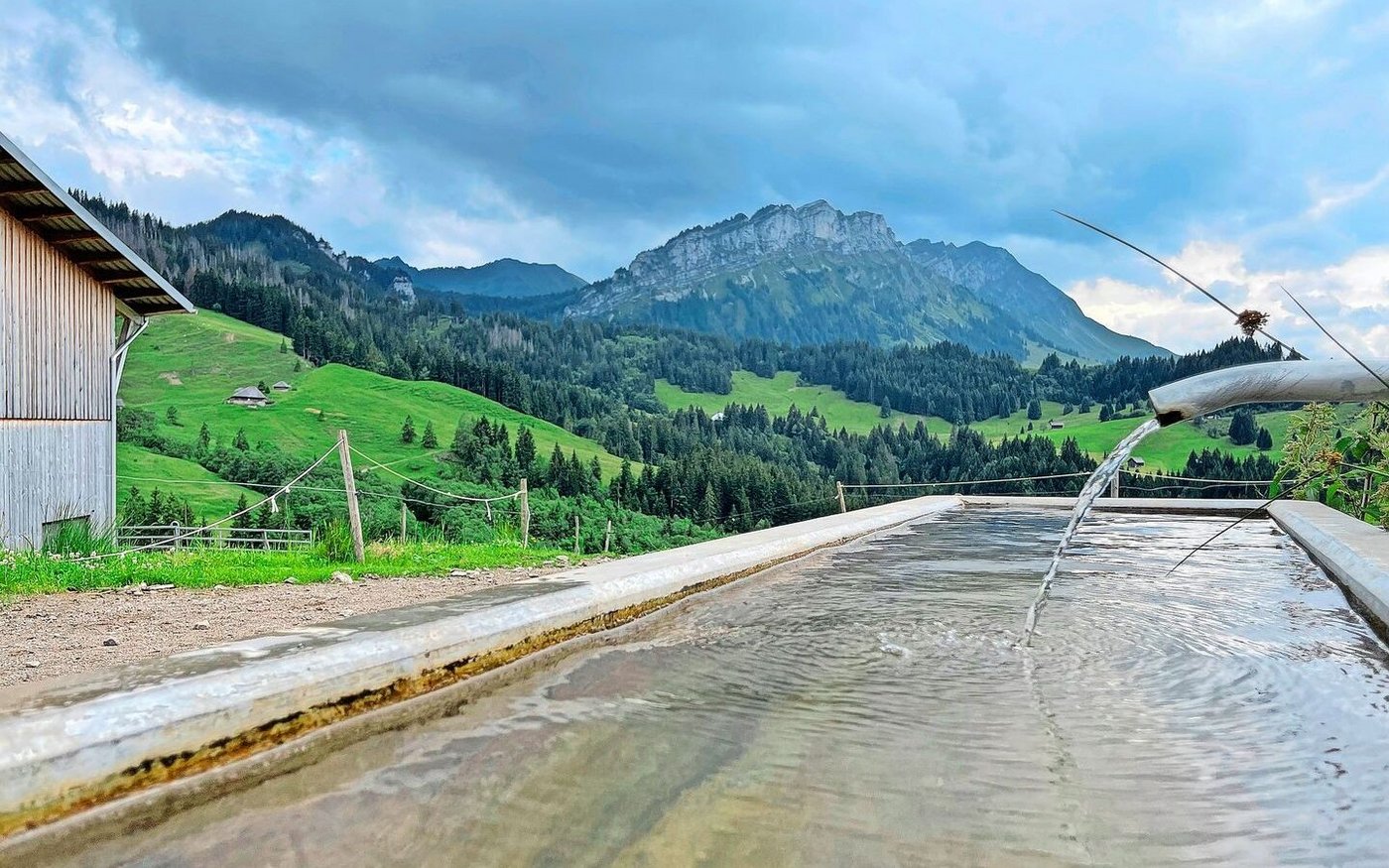 Hofidylle, auch wenn das Wetter nicht will, auf dem hochgelegenen Betrieb mit viel Hanglage: Ausblick auf die mehrgipflige Äbnistettenflue.