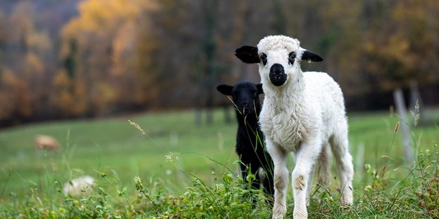 Sie sollen besser geschützt werden.