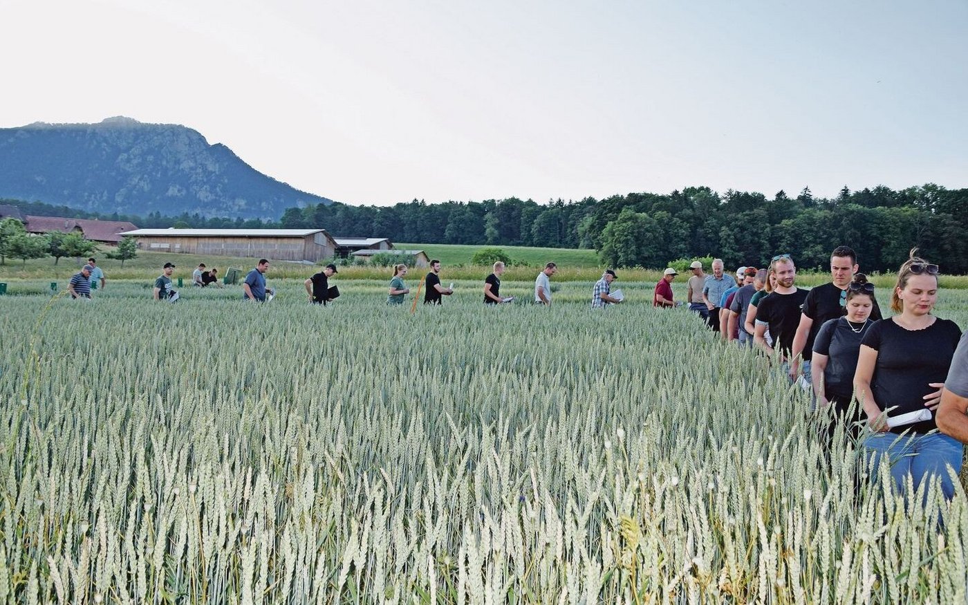 Das Interesse war gross am Sommertag am Wallierhof. Die Besucherinnen und Besucher wurden belohnt mit vielen wertvollen Informationen.