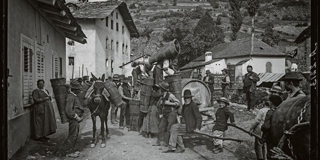 Frauen und Männer tragen eine Brente, Maultiere deren zwei bei der Weinlese 1905 in Saint-Léonard VS. In vielen Berggebieten waren Maultiere bis in die 1950/60er-Jahre unentbehrlich für den Transport vom Tal in höhere Lagen.