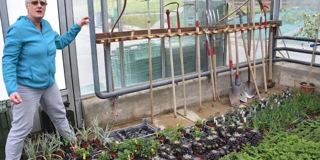 Auch das ist altersgerecht: Irène Lüthi erklärt, dass wenn die Gerätschaften schön aufgehängt sind, das Gärtnern erleichtern. (Bild et) 