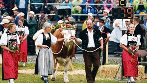 Andrea und Hansueli Andrea und Hansueli Aebersold aus Beatenberg BE mit ihrem Stier Araris, dem Siegerpreis am Unspunnen-Fest, beim Einmarsch in die Arena.