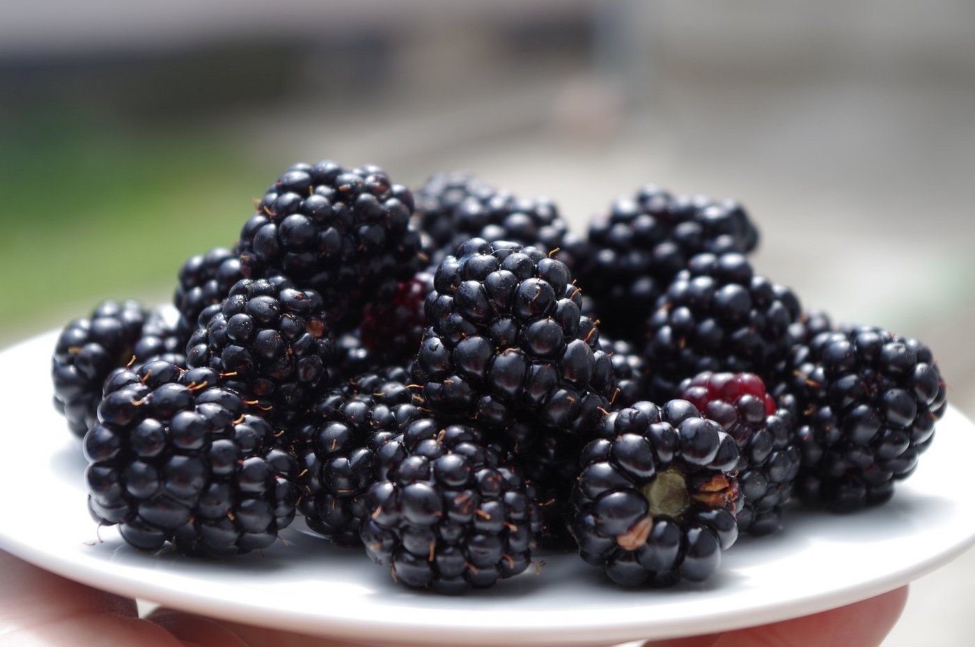 Brombeeren sind reich an Vitaminen und Mineralstoffen. (Bild Pixabay)
