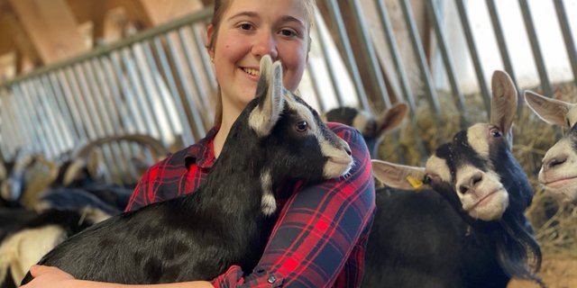 Die Bündner Strahlenziegen sind Sina Becks Lieblinge: Ursprünglich das Hobby ihrer Mutter, stehen im Stall jetzt schon 40 Geissen. Sie sind längst zum zweitwichtigsten Betriebszweig geworden. (Bilder Jeanne Woodtli/BauernZeitung)