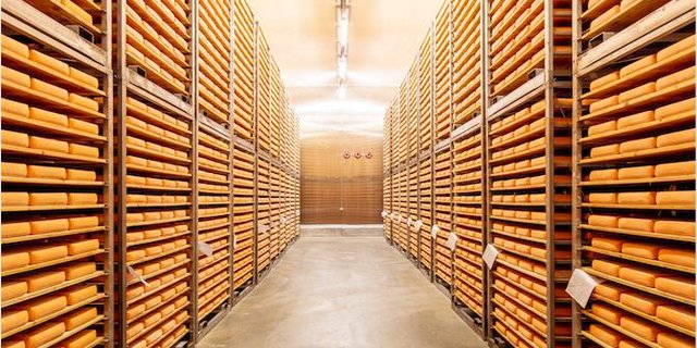 Insgesamt rund 440'000 Laibe Käse kann Emmi in der Käserei in Landquart GR lagern. (Bilder zVg)