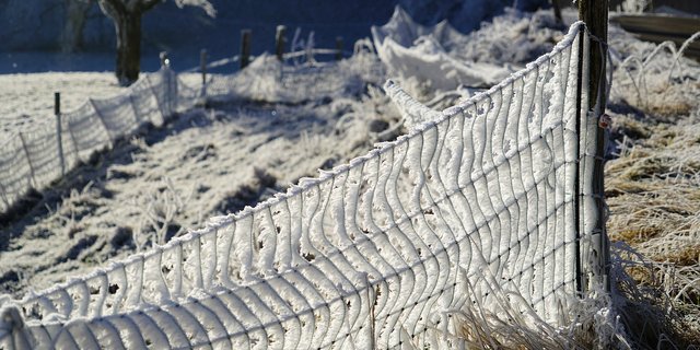 In Kanada herrschen Temperaturen bis zu -50°C. (Bild Pixabay)