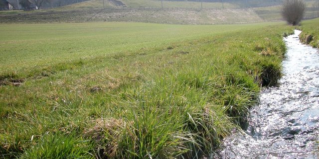 Eine Motion von Nationalrat will das Gewässerschutzgesetz so  ändern, dass die minimale Breite des Gewässerraums unterschritten werden kann. So soll der Kulturlandverlust verringert werden. (Bild: BauZ)