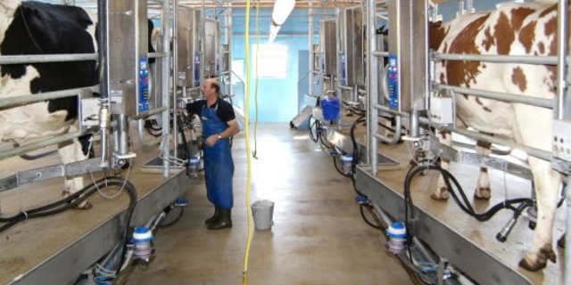 Kuhtoiletten, eingedickte Milch, optimale Stallbauten: Das Programm der Melktechniktagung ist bunt. (Bild Agroscope) 