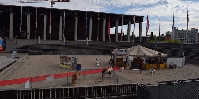Sinnbildlich für die diesjährige Mini-Olma: Eine menschenleere Arena. (Bilder Stefanie Giger)
