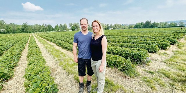 Jürg und Priska Morf organisieren das Singlepflücken und machen Selfpick im grossen Stil mit Erdbeeren und Gemüse.  