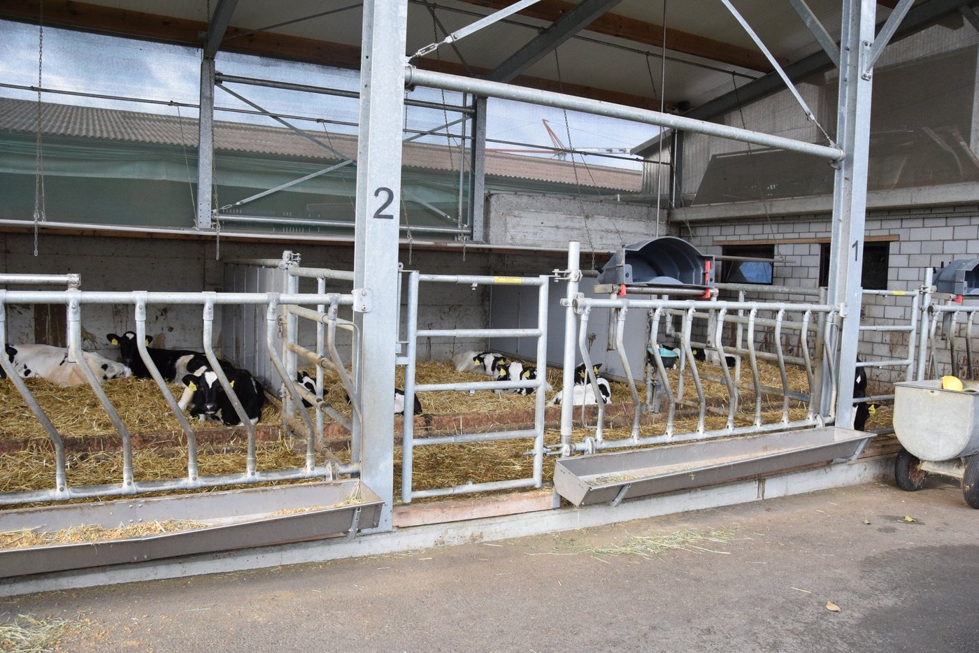 Die klimatischen Verhältnisse im Strickhof-Kälberstall sind ähnlich wie im abgebildeten. Er befindet sich in einem grossvolumigen Gebäude. (Bild: Jasmine Baumann)