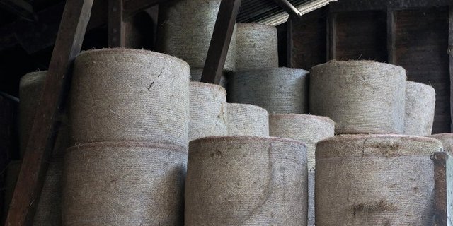 Auch beim Futtermittel ist der Import sensibel. (Bild zVg)