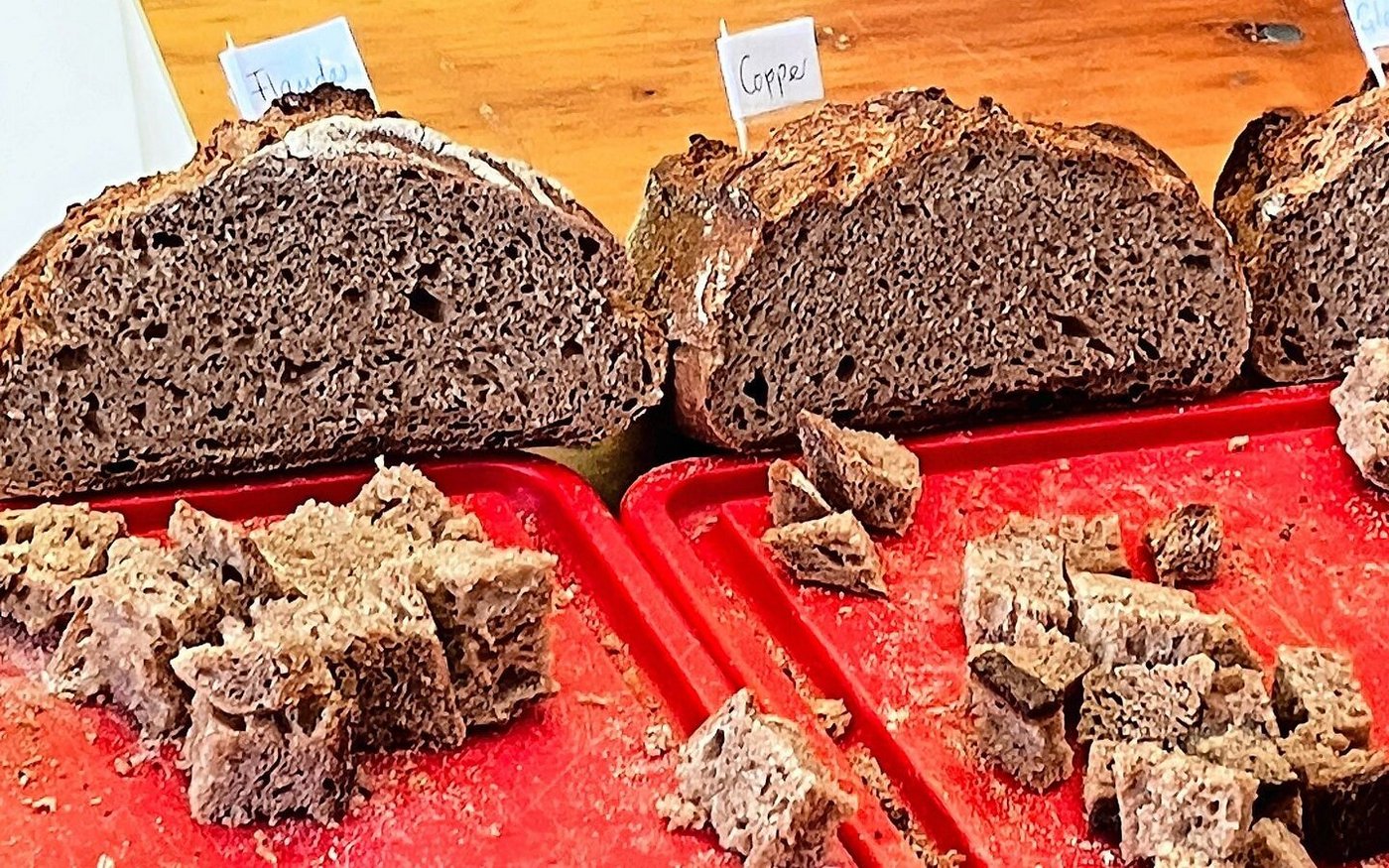 Degustation an der Flurbegehung: Sechs Brote – jedes mit Mehl einer anderen Dinkelsorte gebacken. 