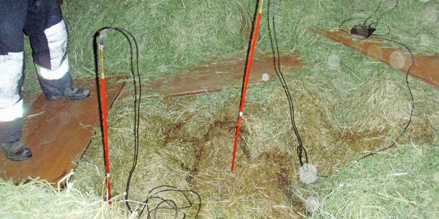 Schon bald beginnt die Dürrfutterernte. Um eine Übergärung des Heus zu vermeiden, ist eine sorgfältige Beobachtung in der ersten Zeit wichtig.  