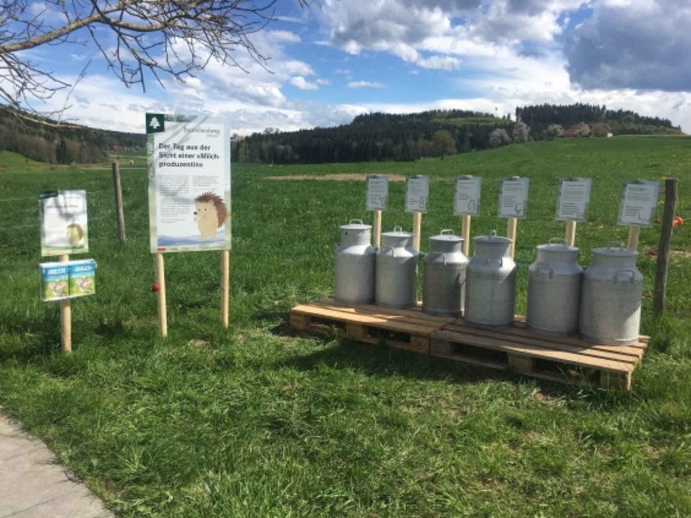 An den Erlebnisposten des Buurelandwegs werden zum Beispiel Fakten zur Milchproduktion spielerisch vermittelt. (Bild zVg)