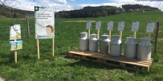 An den Erlebnisposten des Buurelandwegs werden zum Beispiel Fakten zur Milchproduktion spielerisch vermittelt. (Bild zVg)