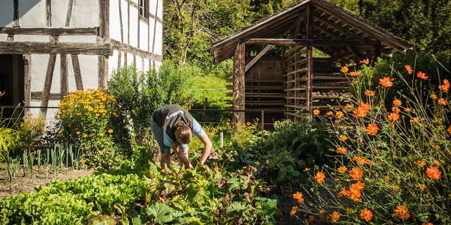 2020 lautet das Jahresthema des Freilichtmuseums Ballenberg «Garten». In 12 neu bepflanzten Gärten wird die Geschichte des Gemüsebaus in der Schweiz aufgezeigt. (Bild zVg)