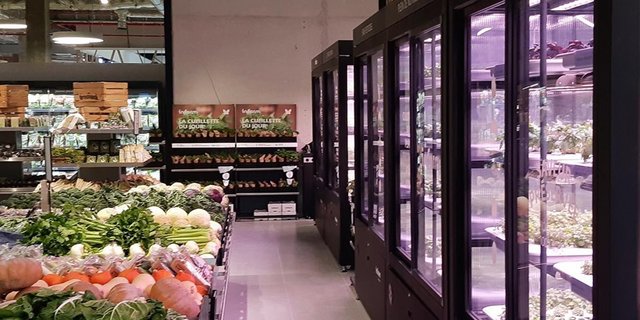 In Glaskästen wachsen heuer Pflanzen direkt im Laden. (Bild Infarm Facebook)