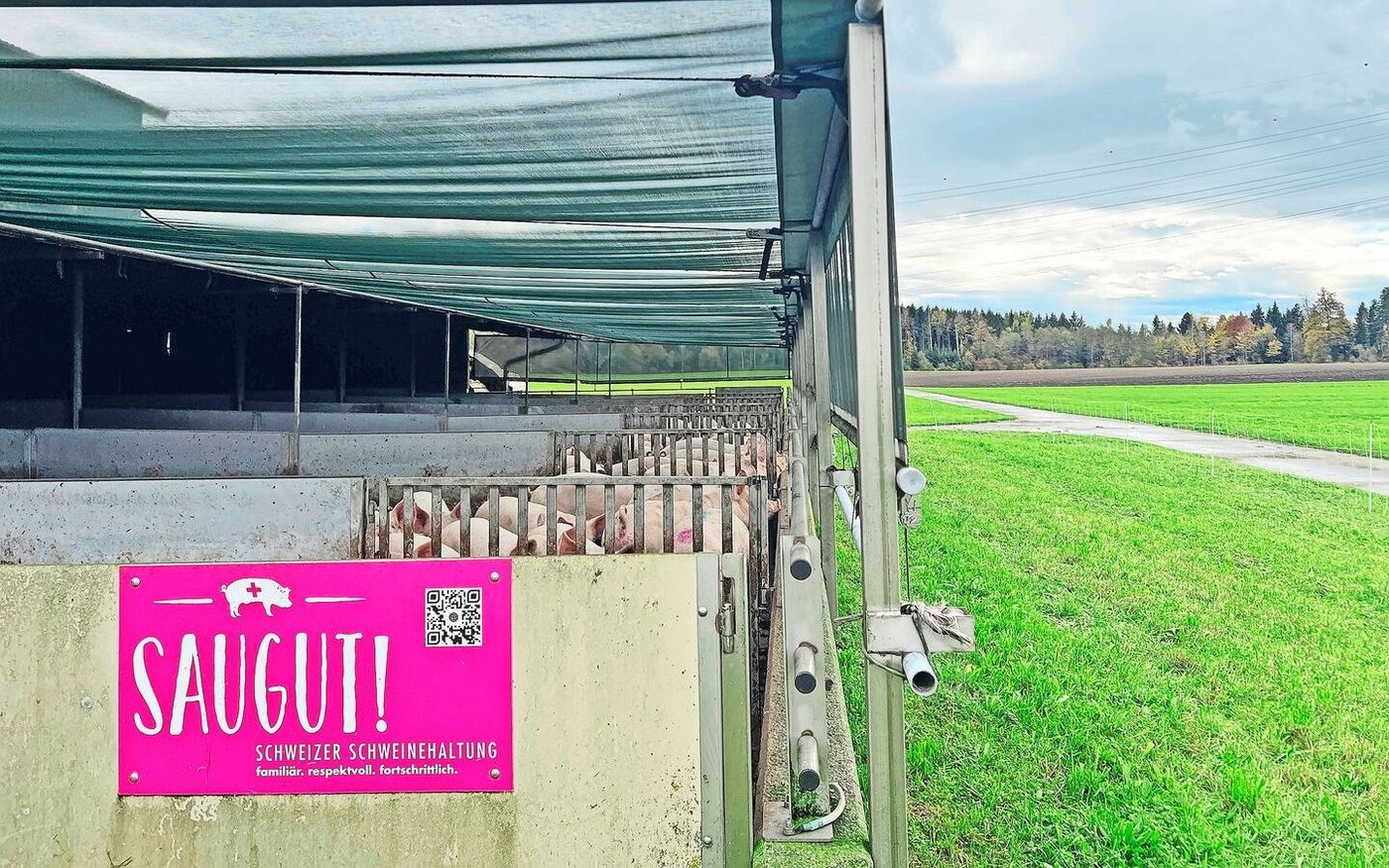 Gebaut wurde der Stall 2020 für das Label Coop Naturafarm. Heute werden die Schweine über IP-Suisse vermarktet.