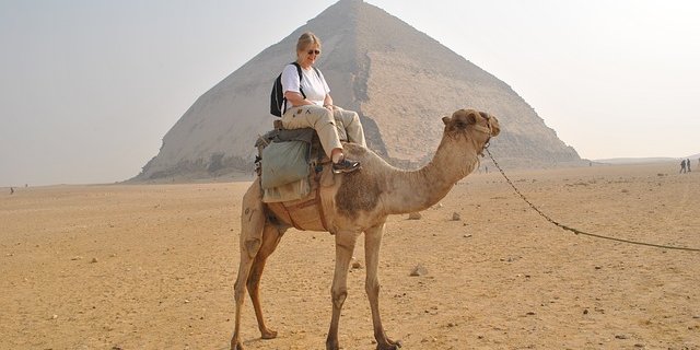 Spass für Touristen, teilweise Qual für die Tiere: Kamele werden laut Peta bis zur Erschöpfung getrieben und misshandelt. (Symbolbild Pixabay)