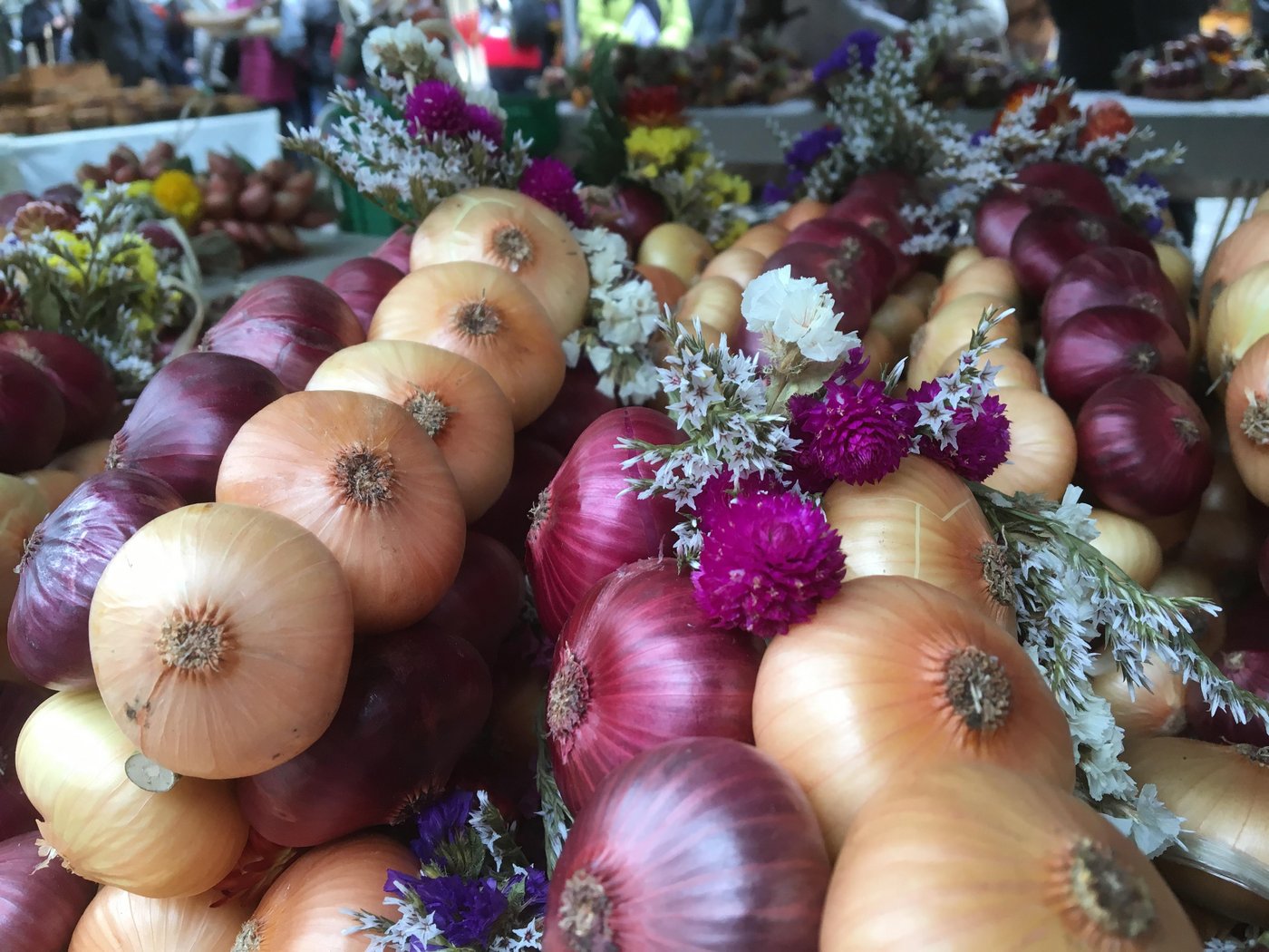 Zwiebel-Zöpfe gehören zu den beliebtesten Verkaufsobjekten des Markts. (Bild Marcel Schmid)