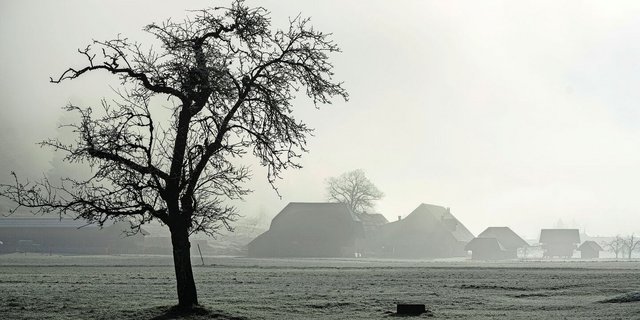 Die Bauern stehen aktuell noch im Nebel, wenn es um die genaue Ausarbeitung einer «klimafreundlichen Produktion» geht.