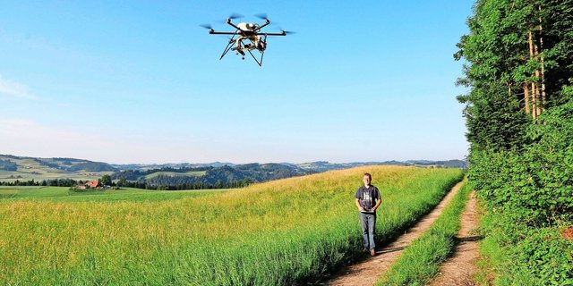Vor allem entlang von Waldrändern ist das Risiko hoch, dass jetzt Rehkitze im noch nicht gemähten Gras liegen. Drohnen können diese aufspüren. 