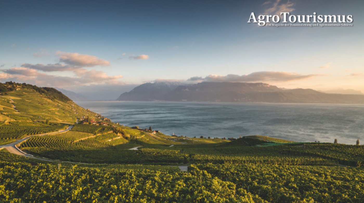 Die wunderschöne Weinbauregion Lavaux zwischen Lausanne und Vevey gehört zum Unesco-Weltkulturerbe. (Bild Schweiz Tourismus/Ivo Scholz)