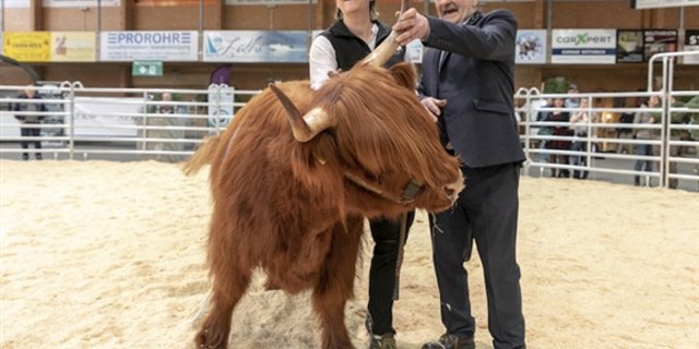 Die Rassensiegerin Caroline ist nicht leicht zu bändigen. (Bild zVg)