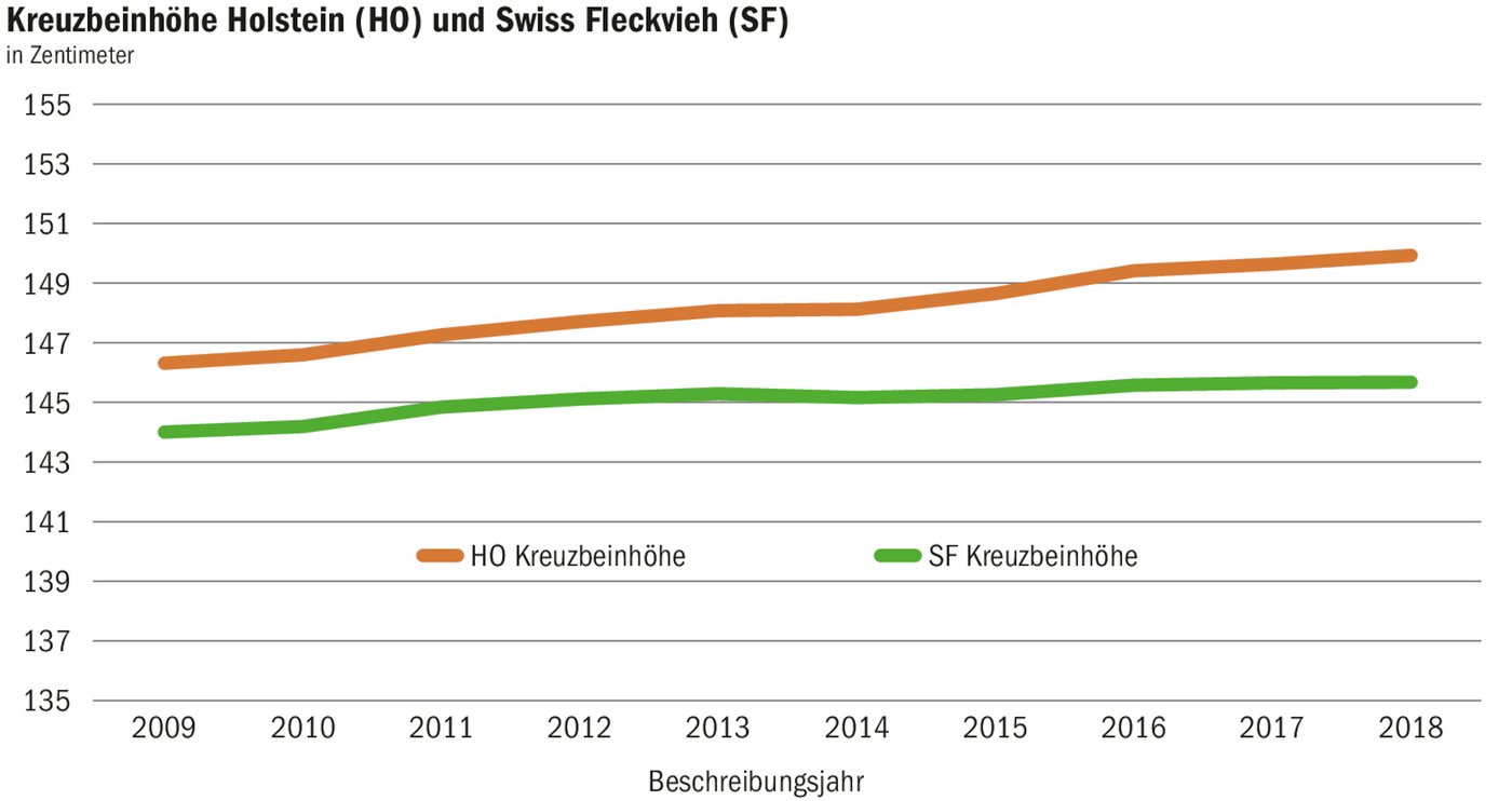 Die Grössenentwicklung der zwei Rassen über die vergangenen zehn Jahre. Die Auswertung stammt vom Herbst 2019. (Grafik Qualitas)