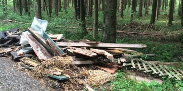 Statt ordentlich zu entsorgen kippten Unbekannte den Sperrmüll in den Wald. (Bild Kapo TG)