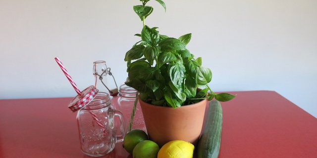 Daraus entsteht Basilikum-Gurken-Sirup. Vielleicht zu Beginn etwas ungewohnt, aber wirklich sehr lecker. (Bilder Esther Thalmann)