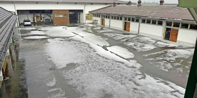 Um halb sieben Uhr morgens zog der Hagelsturm direkt über den Betrieb von Christian Glur aus dem aargauischen Glashütten.