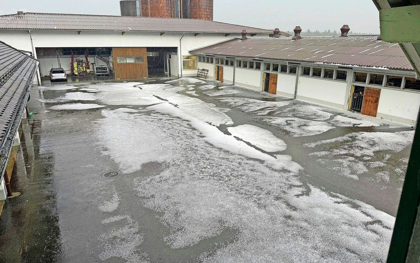 Um halb sieben Uhr morgens zog der Hagelsturm direkt über den Betrieb von Christian Glur aus dem aargauischen Glashütten.
