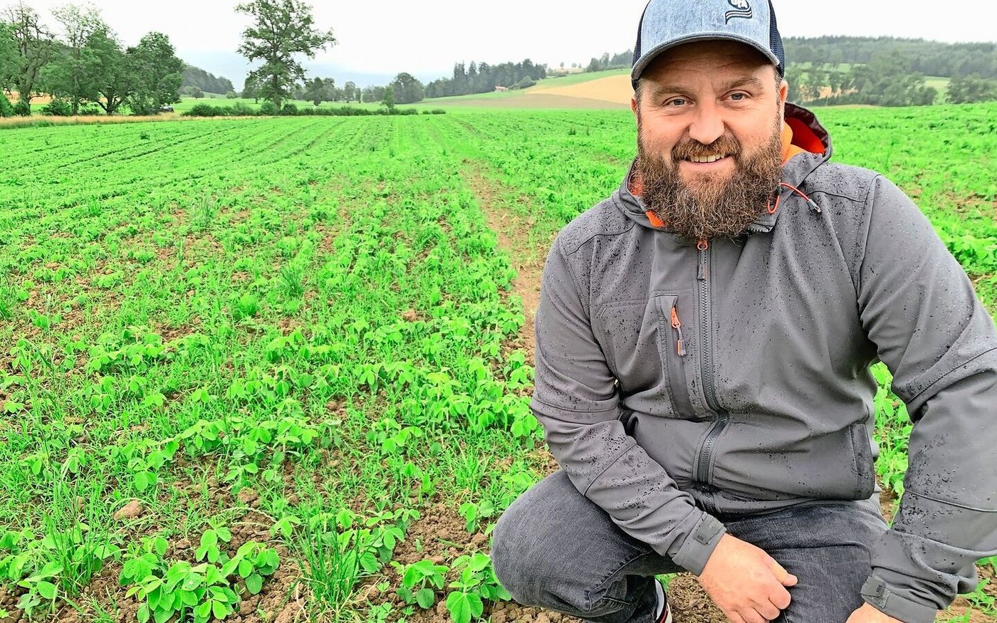 Simon Wandeler aus Nottwil im Sojafeld. Ein weiterer Striegelgang steht noch an.