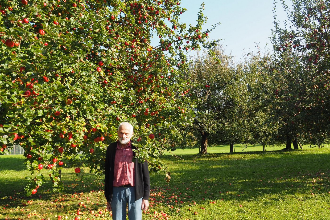 Guido Schildknecht ist seit Jahrzehnten ein engagierter Kämpfer für Hochstammobst-Kulturen. (Bilder Christian Weber)