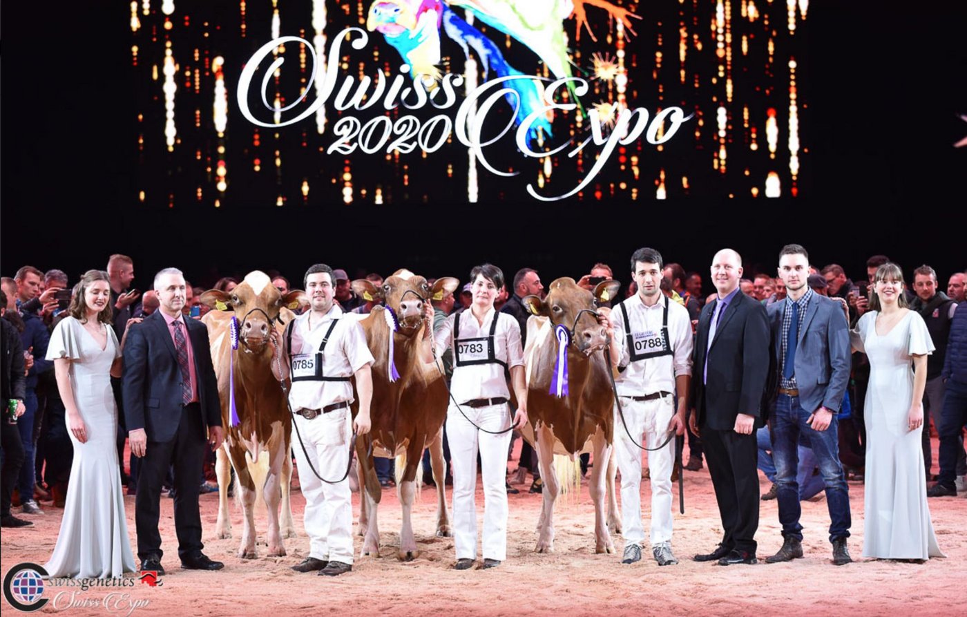 Grand Championwahl (v. l. n. r.): Absolute Tochter Zaia von Etienne und Anthony Genoud aus Châtel-St-Denis FR; Reserve  C P P Armani Rxana von Piller Holstein aus La Roche FR.  Drittplatzierte Majoric Absolute Armenya von Majoric Holstein aus Rueyres-Treyfayes FR. (Bilder Cowsmopolitan)