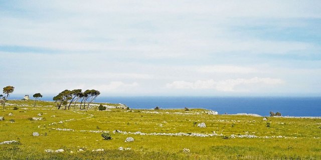 Die Landschaft in der italienischen Region Salento, dem «Stiefelabsatz» Italiens, ist wunderschön und aussergewöhnlich.