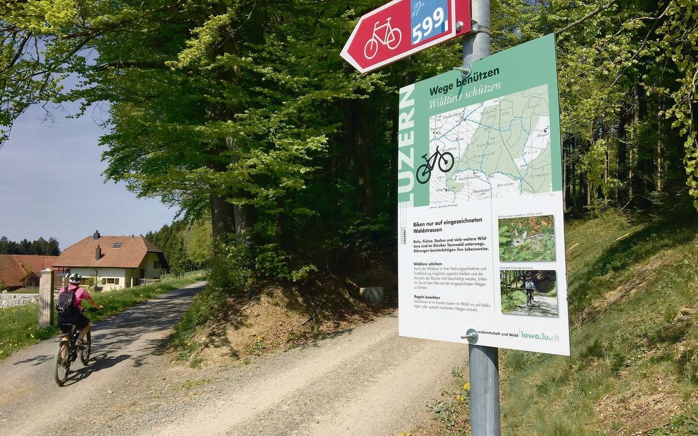 Der Wald wird vielseitig genutzt, da braucht es Regeln. Der neue kantonale WEP definiert Vorrangfunktionen. 