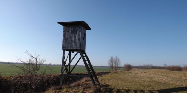Ein Hochsitz: Jagdbanngebiete sollen einen neuen Namen erhalten. (Bild Michael Loeper  / pixelio.de) 