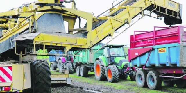 Die Organisation der Rübentransporte soll effizienter werden. Die «Transportorganisation Frauenfeld» soll schon ab dieser Kampagne die Transporte koordinieren. (Bild BauZ)