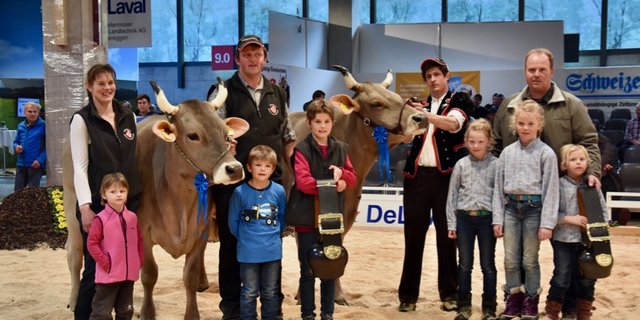 Champion wurde Eldor Elena (links), hinter ihr stand William Poldi. (Bilder Jasmine Baumann)