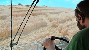 Die Expertise der produzierenden Landwirtschaft fehle in der beratenden Kommission des Bundesrates, so die Kritik von Bauernunternehmen.
