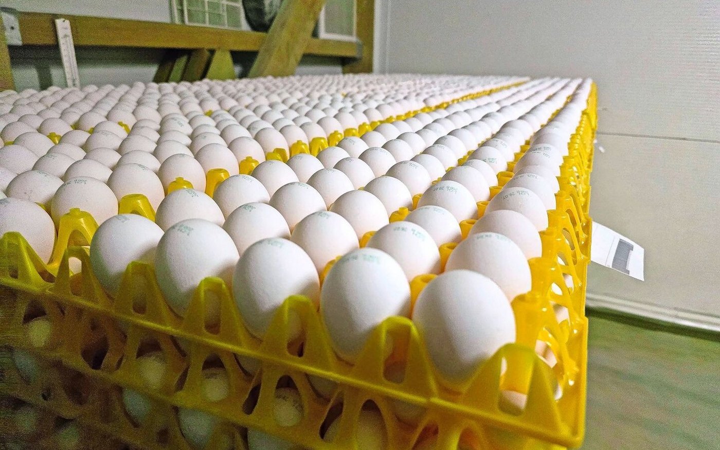 Der Konsument setzt vermehrt auf regionale Herkunft und kauft seine Eier gerne direkt beim Produzenten.