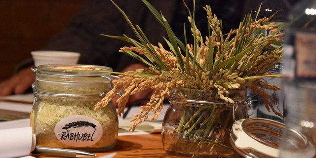 Erfolgreicher Prototyp: Dieser Reis stammt bereits aus dem Testversuch. (Bilder jba) 