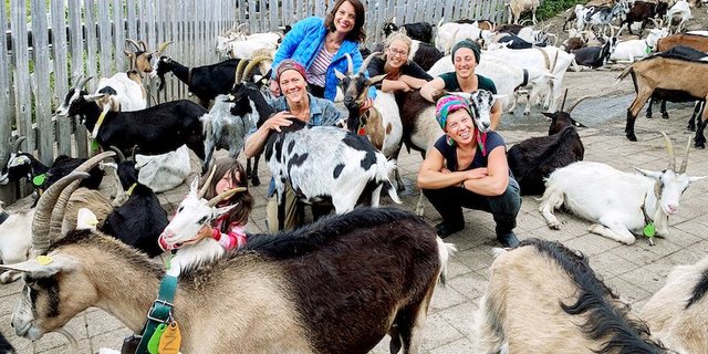 Auf der Alp Puzzrtta arbeiten ausschliesslich Frauen. Kurzzeitig ist auch Fernseh-Frau Mona Vetsch dabei. (Bild SRF)