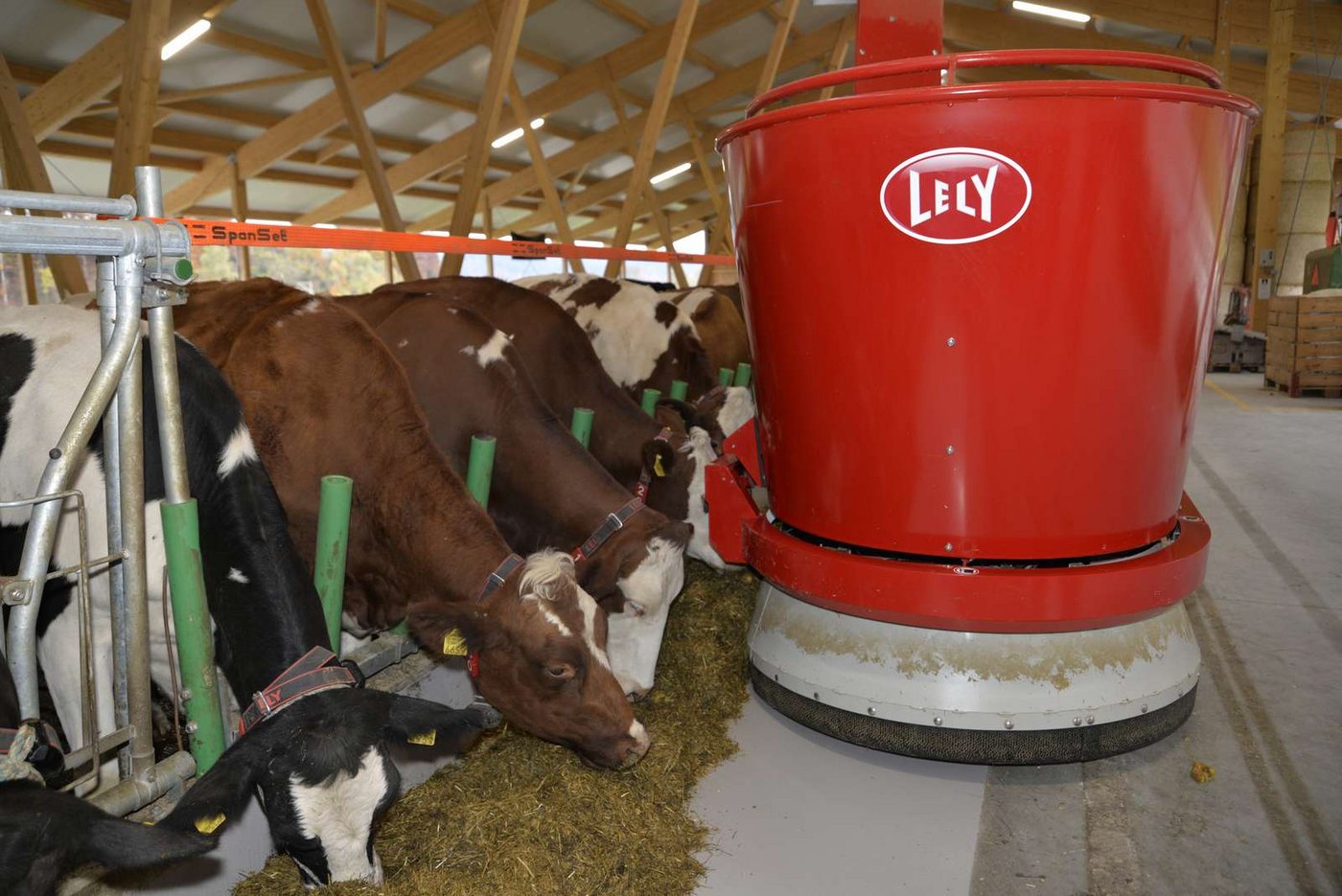 Ein Fütterungsroboter im Einsatz. (Bild Aline Küenzi)