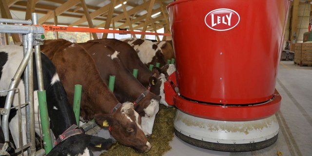 Ein Fütterungsroboter im Einsatz. (Bild Aline Küenzi)